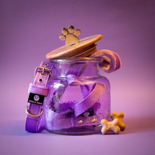 IMG_1681 Obroża o szer,2.5cm STAL NIERDZEWNA-POLECANE