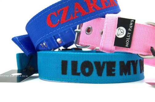 Obroża o szer. 4cm Z Haftem STAL NIERDZEWNA - POLECANE