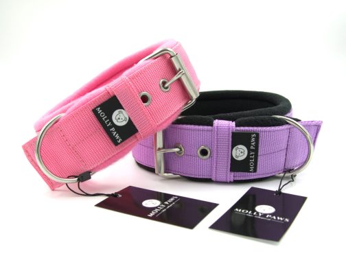 Obroża z polarem o szer.4cm STAL NIERDZEWNA - POLECANE