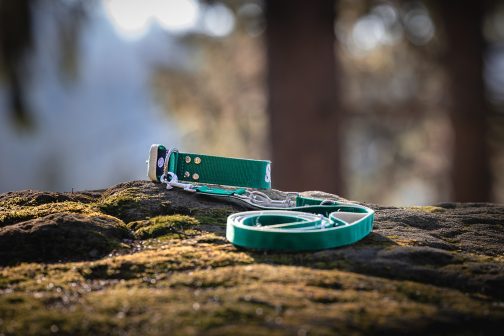 8Q6A7762- (1) Obroża DWUKOLOROWA o szer. 4cm Z Haftem STAL NIERDZEWNA - POLECANE