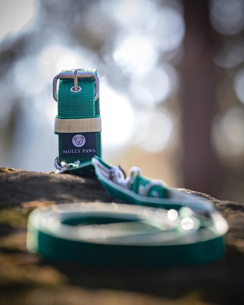 8Q6A7771- Obroża DWUKOLOROWA o szer. 4cm Z Haftem STAL NIERDZEWNA - POLECANE