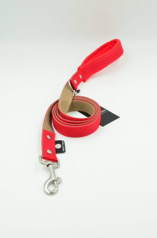 DSC_0014 Smycz dwukolorowa z rączką STAL NIERDZEWNA - POLECANE