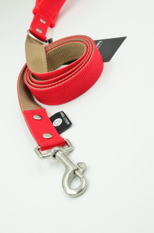 DSC_0015 Smycz dwukolorowa z rączką STAL NIERDZEWNA - POLECANE