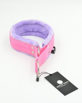 DSC_0065 Obroża Półzaciskowa