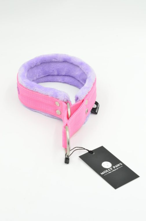 Obroża Półzaciskowa