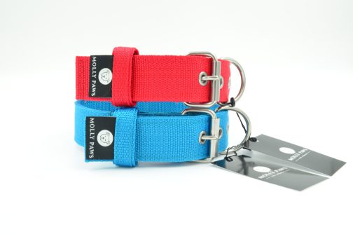 DSC_0136 Obroża KENNELOWA STAL NIERDZEWNA - POLECANE