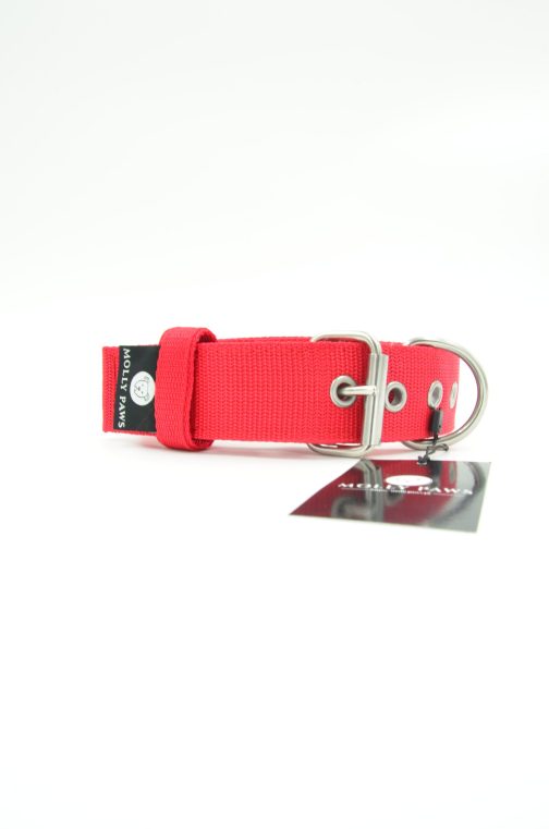 DSC_0137 Obroża KENNELOWA STAL NIERDZEWNA - POLECANE