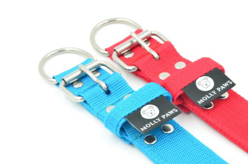 DSC_0148 Obroża KENNELOWA STAL NIERDZEWNA - POLECANE