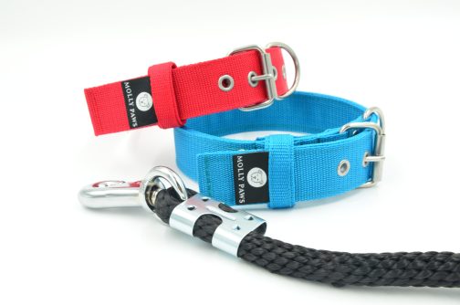 DSC_0169 Obroża KENNELOWA STAL NIERDZEWNA - POLECANE