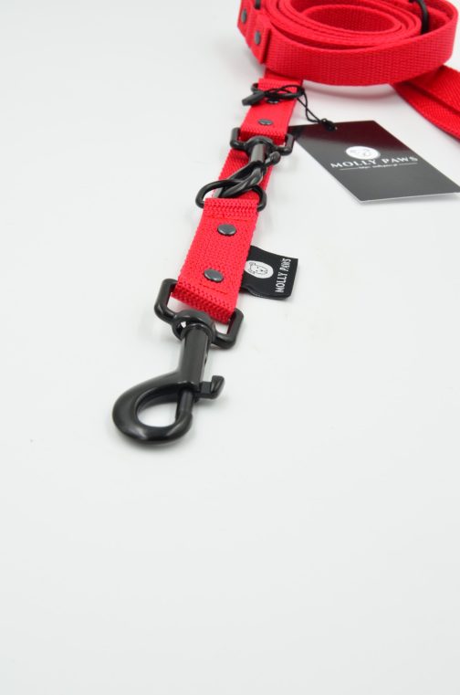 DSC_0201 Smycz przepinana 240cm lekka