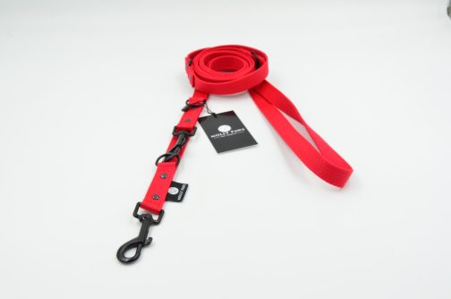 DSC_0202 Smycz przepinana 240cm lekka