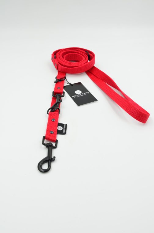 DSC_0203 Smycz przepinana 240cm lekka