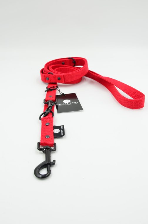 DSC_0210 Smycz przepinana 240cm lekka