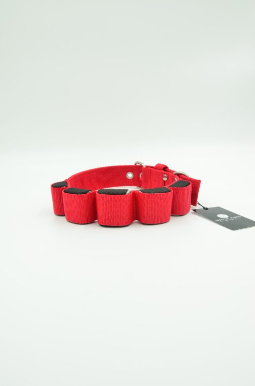 DSC_0228 Obroża szer. 4cm z Obciążeniem do Treningu