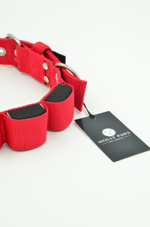 DSC_0229 Obroża szer. 4cm z Obciążeniem do Treningu