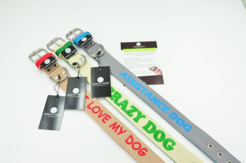 DSC_0245 Zestaw Dwukolorowy Obroża Z Haftem i Smycz Przepinana