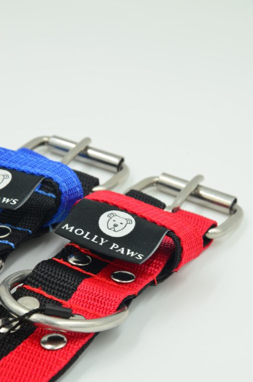 DSC_0326 Obroża o szer. 4cm DWA KOLORY STAL NIERDZEWNA - POLECANE