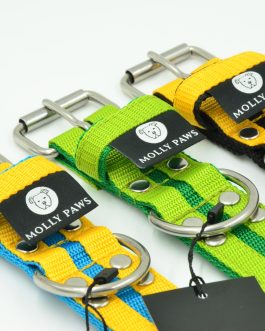 Obroża o szer. 4cm Kolorowa STAL NIERDZEWNA - POLECANE