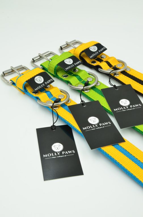 Obroża o szer. 4cm Kolorowa STAL NIERDZEWNA - POLECANE