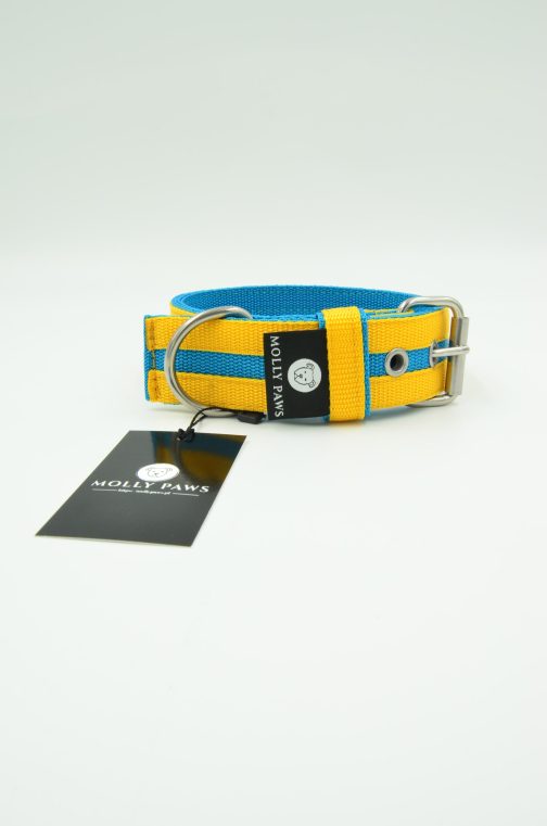 Obroża o szer. 4cm Kolorowa STAL NIERDZEWNA - POLECANE