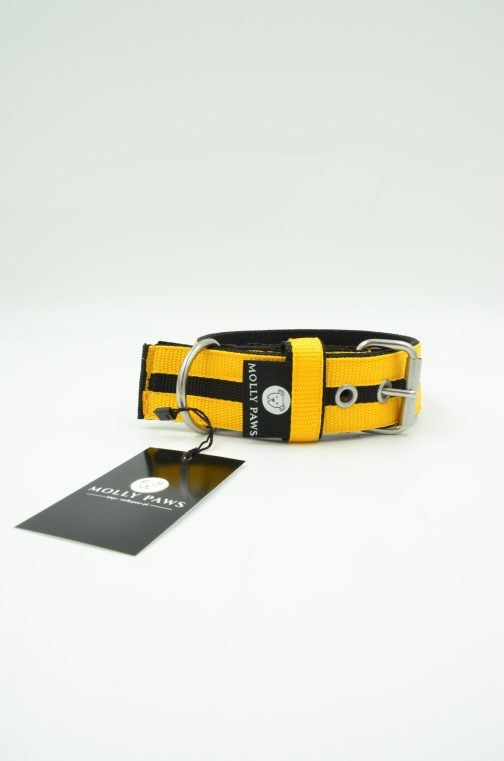 Obroża o szer. 4cm Kolorowa STAL NIERDZEWNA - POLECANE