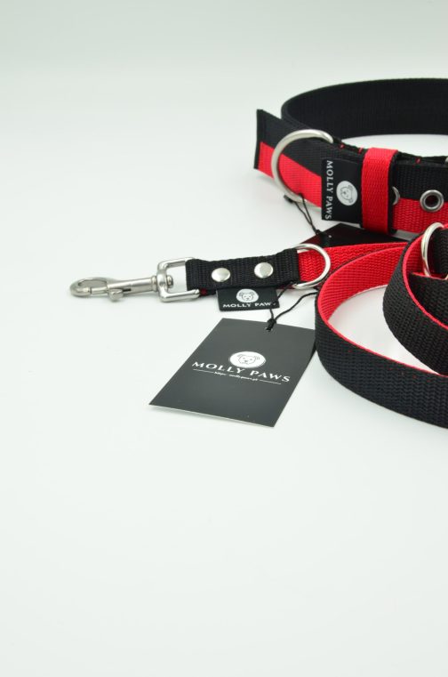 DSC_0371 Smycz dwukolorowa z rączką STAL NIERDZEWNA - POLECANE