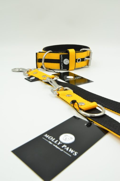 Obroża o szer. 4cm Kolorowa STAL NIERDZEWNA - POLECANE