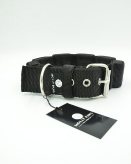 DSC_0433 Obroża szer. 5cm z Obciążeniem do Treningu