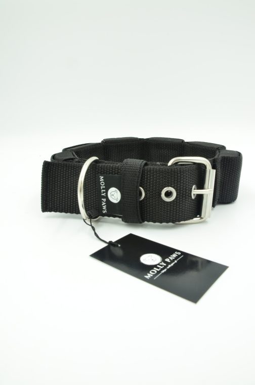 DSC_0433 Obroża szer. 5cm z Obciążeniem do Treningu