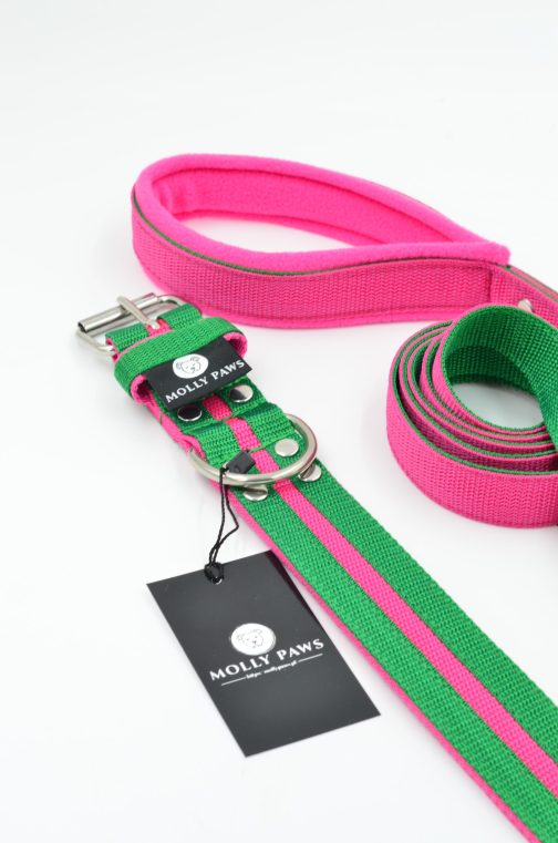 DSC_0634 Zestaw Dwukolorowy Smycz + Obroża