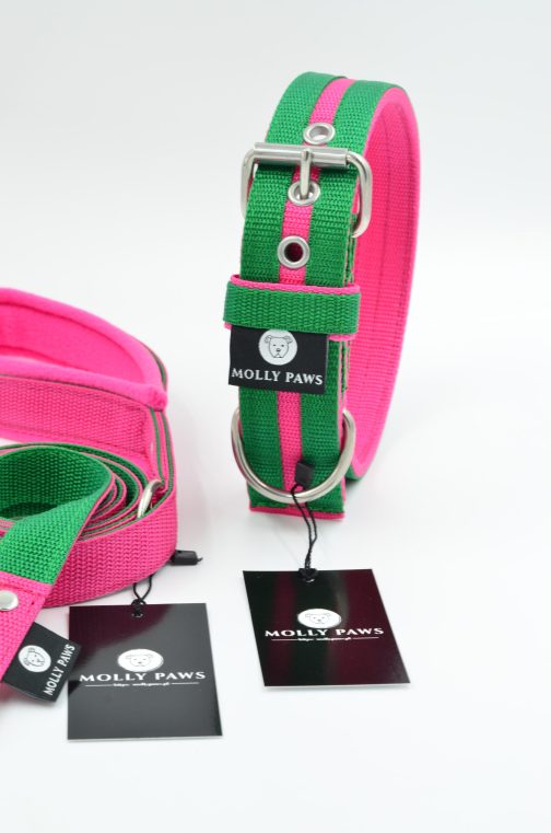 DSC_0653 Zestaw Dwukolorowy Smycz + Obroża