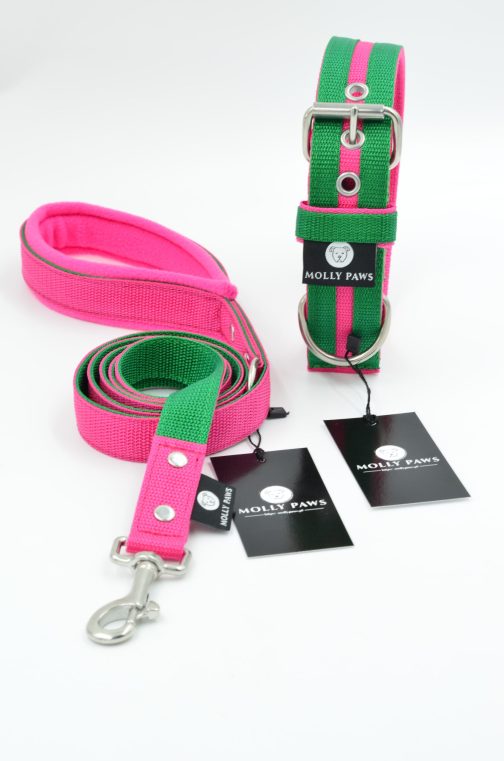 DSC_0654 Zestaw Dwukolorowy Smycz + Obroża