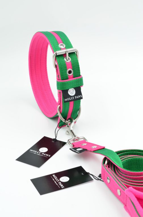 DSC_0655 Zestaw Dwukolorowy Smycz + Obroża