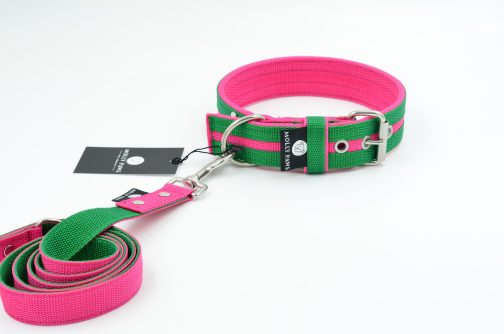 Obroża o szer. 4cm Kolorowa STAL NIERDZEWNA - POLECANE