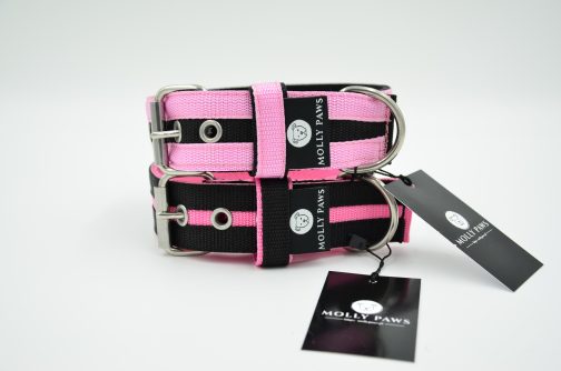 DSC_0801 Zestaw Dwukolorowy Smycz + Obroża