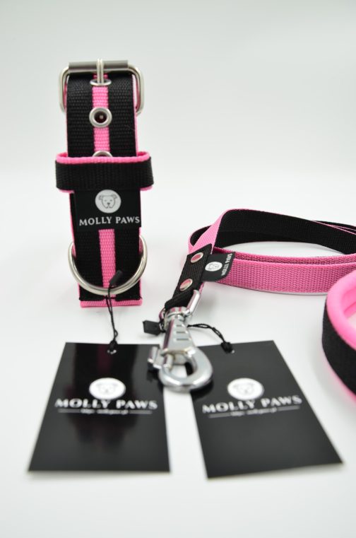 Obroża o szer. 4cm Kolorowa STAL NIERDZEWNA - POLECANE