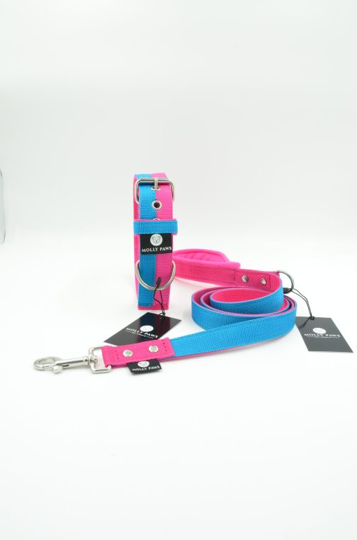 DSC_0872 Zestaw Dwukolorowy Obroża i Smycz