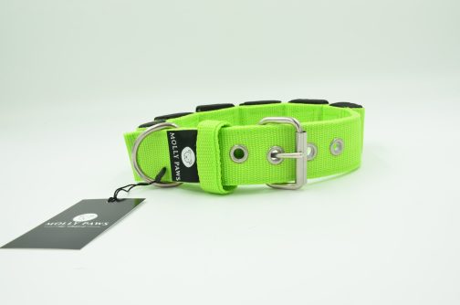 DSC_0874 Obroża szer. 4cm z Obciążeniem do Treningu