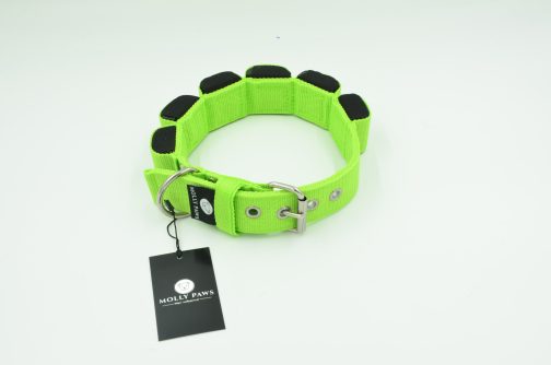 DSC_0877 Obroża szer. 4cm z Obciążeniem do Treningu