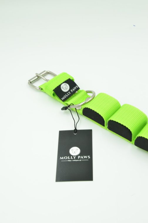 DSC_0878 Obroża szer. 4cm z Obciążeniem do Treningu