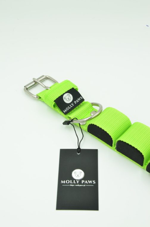 DSC_0880 Obroża szer. 4cm z Obciążeniem do Treningu