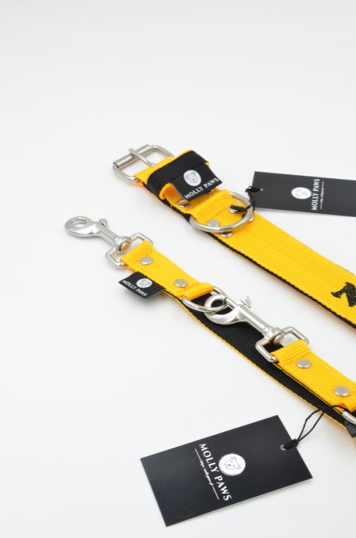 DSC_1028 Obroża DWUKOLOROWA o szer. 4cm Z Haftem STAL NIERDZEWNA - POLECANE