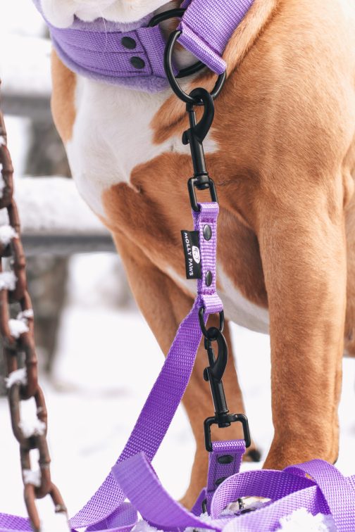 Obroża Lekka - półzaciskowa z Własnym Haftem