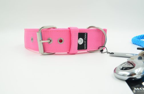 obroza mś Obroża Edycja Misiowa