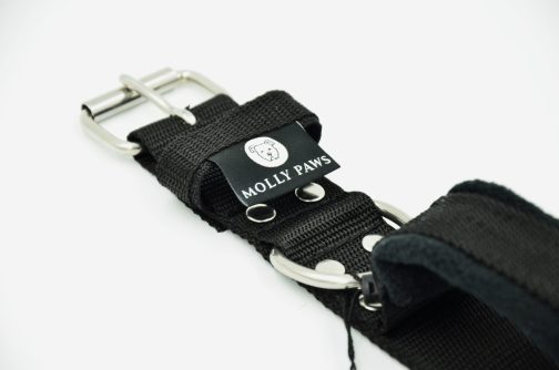 obroza z uchtytem 1 Obroża z Uchwytem o szer.5cm STAL NIERDZEWNA - POLECANE