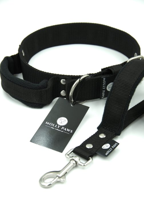 obroza z uchtytem 12 Obroża z Uchwytem o szer.5cm STAL NIERDZEWNA - POLECANE