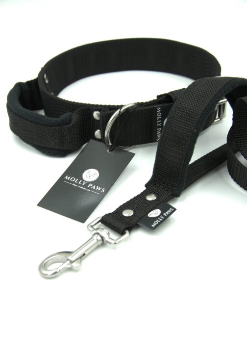 obroża z uchytem Obroża z Uchwytem o szer.5cm STAL NIERDZEWNA - POLECANE