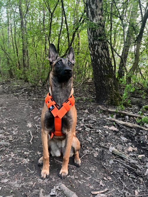 Szelki z mięciutkim polarem o szer. 4cm Lekkie