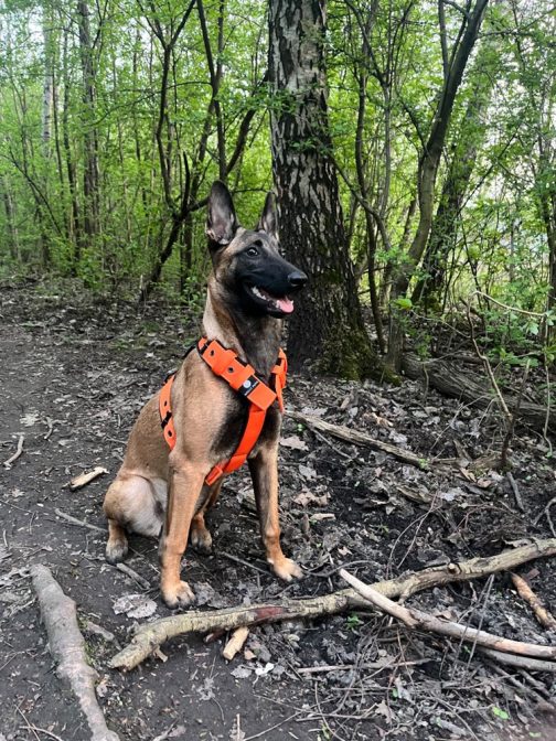 Szelki z mięciutkim polarem o szer. 4cm Lekkie