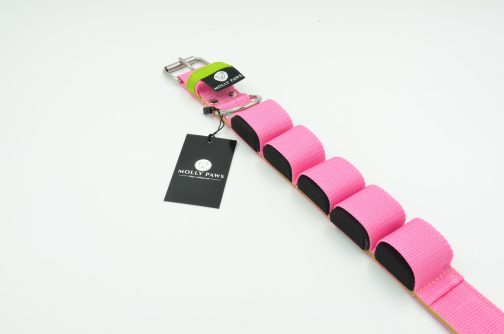 DSC_0088 Obroża szer. 4cm z Obciążeniem Kontrastowa